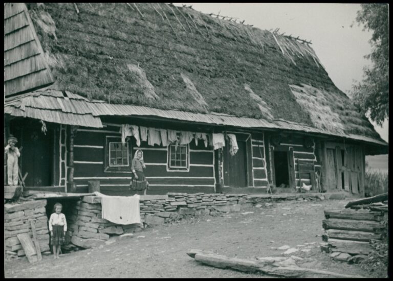 Geneza i rozwój różnych koncepcji państwowości wśród inteligencji łemkowskiej (1918–1921)